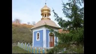 Історія села Бичківці