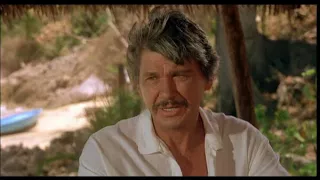 Az Erőszak Pokla   Charles Bronson