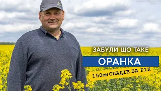 Без оранки! Ріпак — золото, пшениця міжряддя 36 см. Кукурудзу посіяли на 35, а соняшник без добрив.