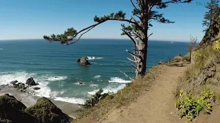 Virtual Hike: Oregon Coast with Beautiful Views! Forest/Beach-Ecola State Park - 4K