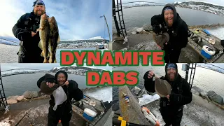 Surfcasting in Norway for cod, plaice and monster dabs