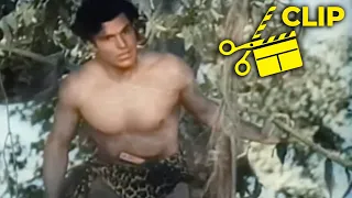 Tarzan to the rescue of a skinny dipping damsel in distress - Tarzan the Fearless (1933)