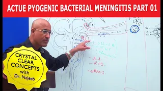 Acute Pyogenic Bacterial Meningitis Part 1