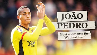 João Pedro | All Goals & Assists For Watford 💛🇧🇷