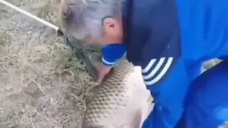 Вот такой кабанчик был вчера💪🏻🎣