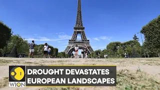 WION Climate Tracker: Riverbeds are drying out across Europe | International News