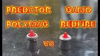 Gamo Red Fire vs Predator Polymag: .22cal Pellet EXPANSION