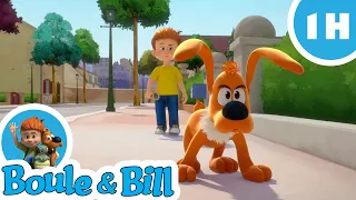 🧐 Boule et Bill sont des enquêteurs 🔎 - Nouvelle compilation Boule et Bill FR