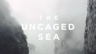 The Uncaged Sea - Golden Light (Official Audio)