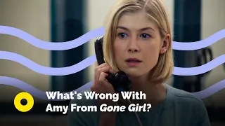 What's Wrong With Amy From Gone Girl?