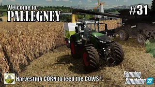 Harvesting CORN to feed the COWS | #31 PALLEGNEY | FS22 | PlayStation 5