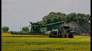 2019 John Deere S790 Cutting Rice in Louisiana 4K Drone Video