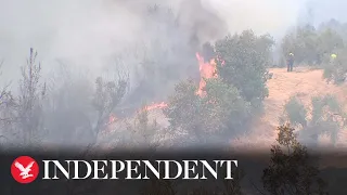 Live: Wildfires rip through Greek island after 2,000 people evacuated