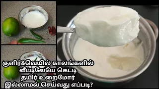 how to make thick Curd at home without&with starter in Tamil / homemade curd without curd in Tamil