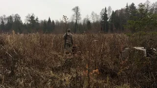 Холодный и горячий поиск. Кто придумал и какие у него собаки.