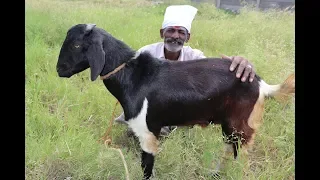 Ramzan Special Mutton BRIYANI Prepared my DADDY / Village Food Factory