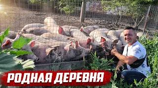 Родная деревня | Орловская обл, Колпнянский район с.Ушаково