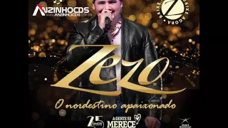 ZEZO POTIGUAR ( CD PROMOCIONAL 2017 ) CANAL DA MIDIA