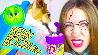 БИН БУЗЛД Челлендж ПРОБУЮ УЖАСНЫЕ КОНФЕТЫ или БОБЫ ГАРРИ ПОТТЕРА BEAN BOOZLED и собака | Elli Di