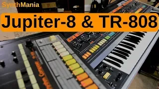 Jupiter-8 & TR-808 Nov 16, 2018