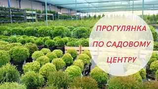 Що продається та які ціни на рослини в розпліднику! Я не втрималась! Нові покупки!