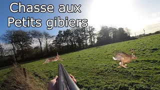 Chasse aux petits gibiers