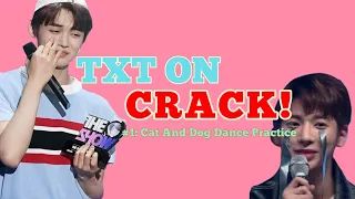 TXT Crack Moments ( In Cat And Dog )