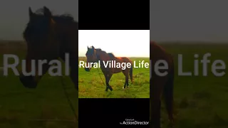 Rural village life in Bulgaria