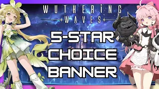 Which 5 Star Selector To Pick In Wuthering Waves