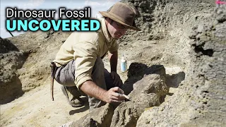 New Fossil May Reveal Clues to Dinosaurs' Final Days