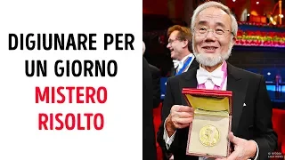 Un Giorno di Digiuno Totale, Una Scoperta Da Premio Nobel