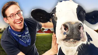 We Tried Hugging Cows For Stress Relief