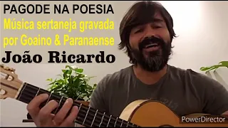 PAGODE NA POESIA - JOÃO RICARDO INTERPRETANDO UMA MÚSICA SERTANEJA GRAVADA POR GOIANO E PARANAENSE