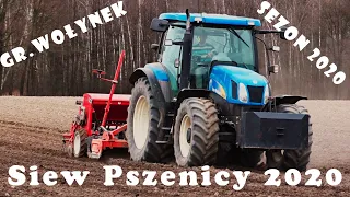 Siew Pszenicy 2020🔥New Holland t6070, Merlo, Maschio, Gaspardo✔