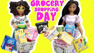 Disney Encanto Mirabel, Luisa, Isabela Dolls Grocery Shopping with Real Littles Food