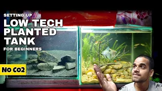 Aquascape Tutorial: Fish Tank Decoration (How To: Non co2 Planted Tank Step By Step Guide)