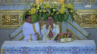 LIVE: Tuesday of the Eighth Week in Ordinary Time | May 28, 2024 | 12NN MASS