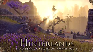 Relaxing ESO OST - Hinterlands [Music of Tamriel, Vol. 2] 🎶 Elder Scrolls Online Music & Ambience