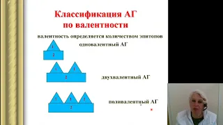 Иммунология 1.Антигены Антитела Главный комплекс гистосовместимости