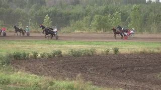 09-й заезд. Групповой приз . 08.08.2021. ЖиК орл. рыс. породы, рожд. в 2019 г. 1600