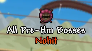 Terraria Calamity Mod: All Pre Hardmode Bosses Nohit On Death Mode 1.5.1.6