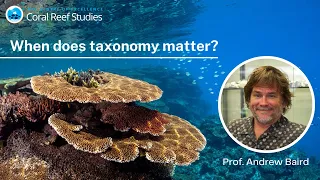 When does taxonomy matter? A seminar by Prof. Andrew Baird