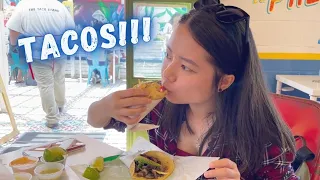 San Diego BEST TACOS! 4 DELICIOUS taco joints