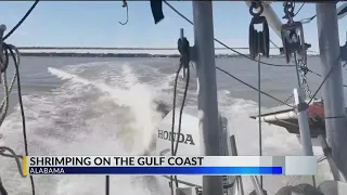 Shrimping in Mobile Bay with Meteorologist Grant Skinner