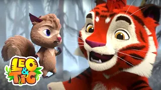 Leo & Tig - El misterio del bosque quemado y más episodios completos | Caricatura animada 🐯🦁