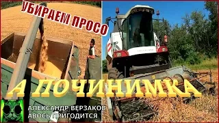 Началось в колхозе утро 5/27. Убираем просо.