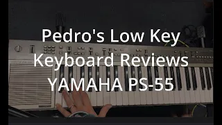 Low-Key Keyboard Reviews: PS-55