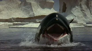 Orca The Killer Whale- (1977) Spoiler Request