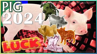 Pig Horoscope 2024 | Luck | Born 2019, 2007, 1995, 1983, 1971, 1959, 1947, 1935