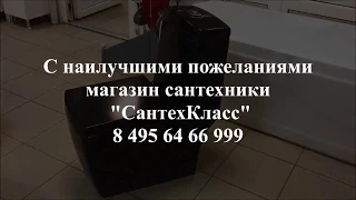 Унитаз черный моноблок STYLE LUX 050 ARCUS Стайл Люкс. SantehKlass.ru